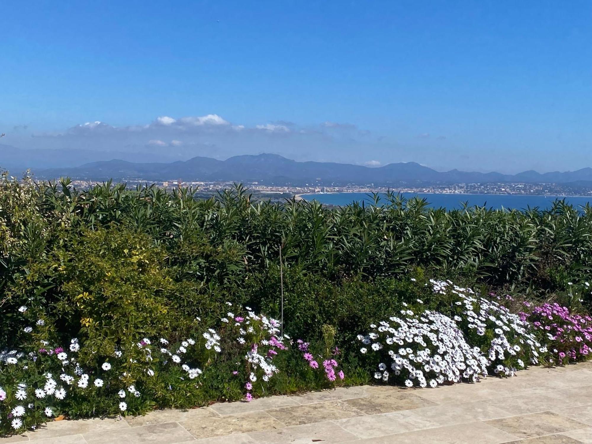 Stunning Sea View Cote D'azur - Rives D'or Villa *